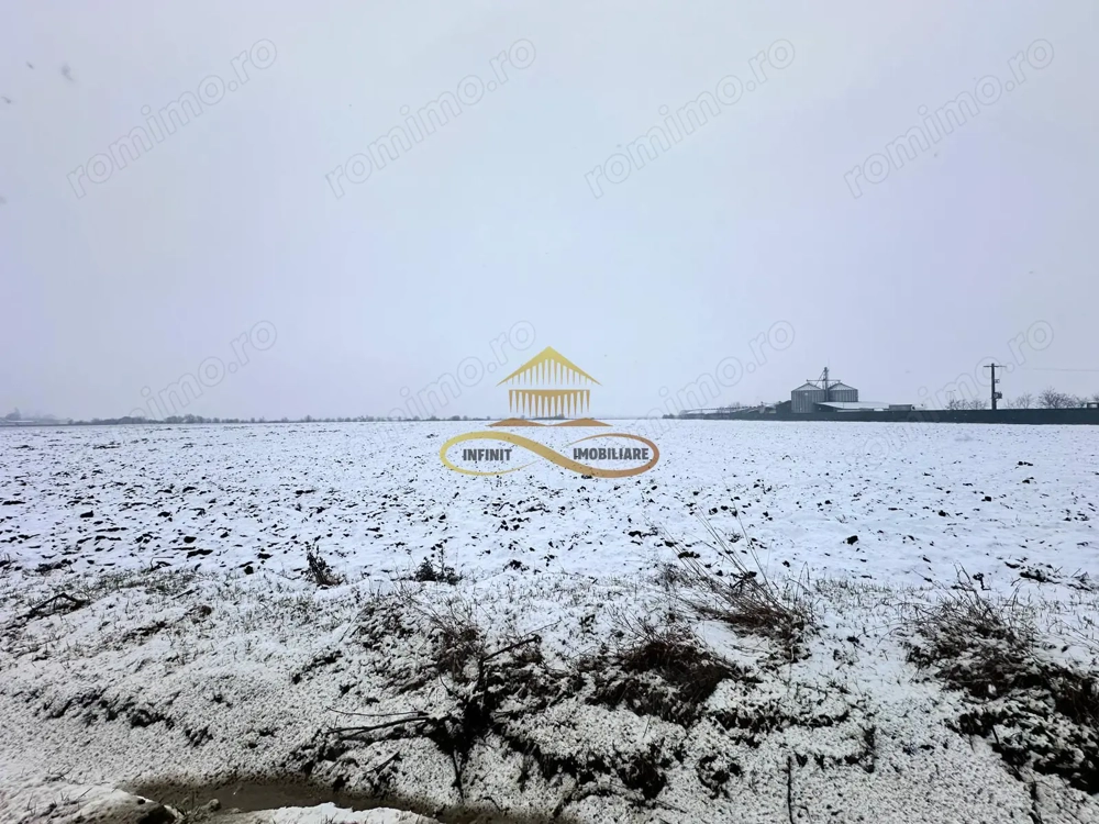 Teren de vanzare Schineni Saucesti