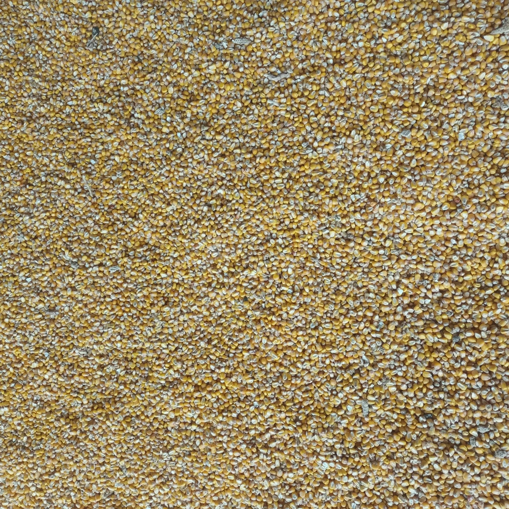 Vand porumb uscat 120Ron