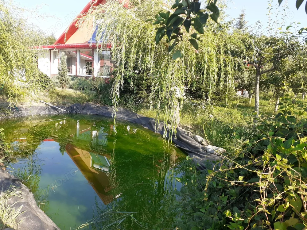 Vilă P+M în Dărmănești Jud Bacău 