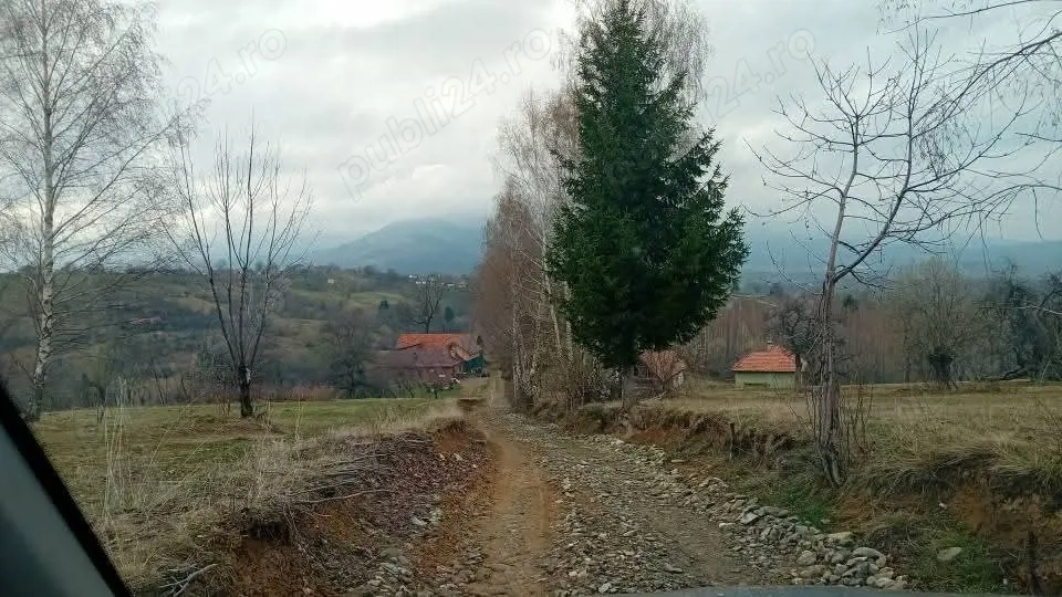 Teren de vanzare-intravilan 