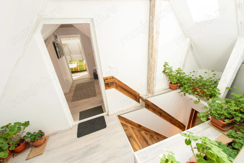 Execut amenajări interioare 