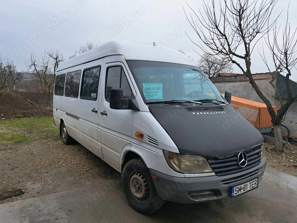 Microbuz Mercedes Sprinter 313CDI