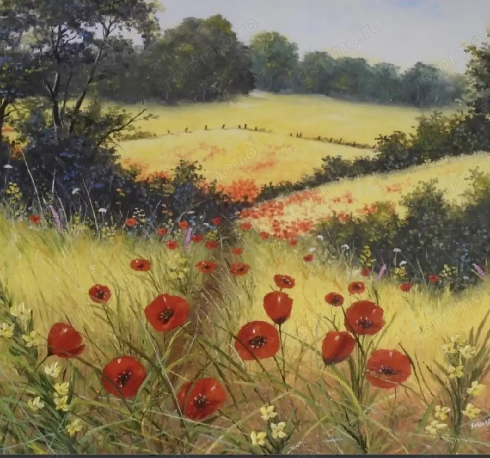 Arendă judetul Giurgiu