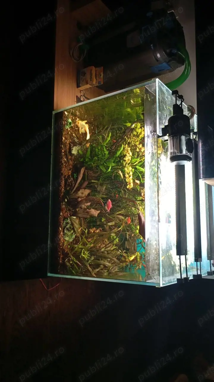 Vând acvariu 250 litri complet accesorizat