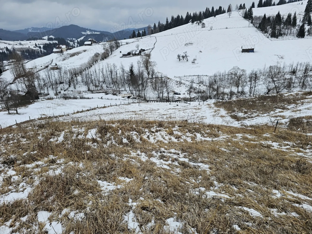 Teren 12.066 mp intravilan de vânzare în Bucovina Comuna Breaza Zona Breaza De sus