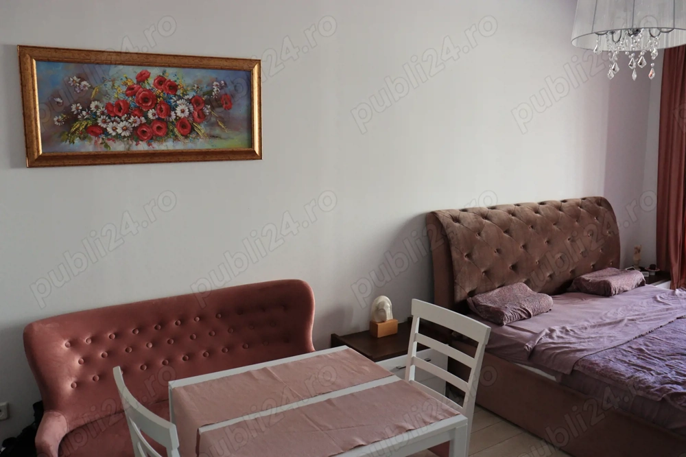 Studio Sinaia Resedinta Belleview