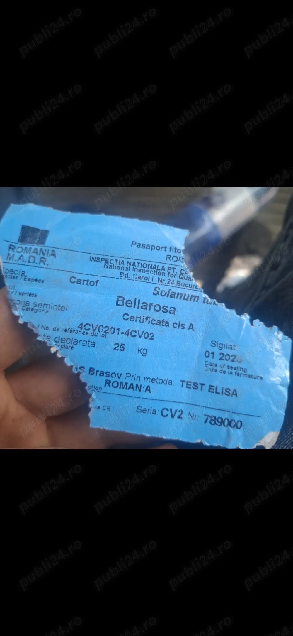 Cartofi de sămânț  Arizona, Bellarosa, Rivola