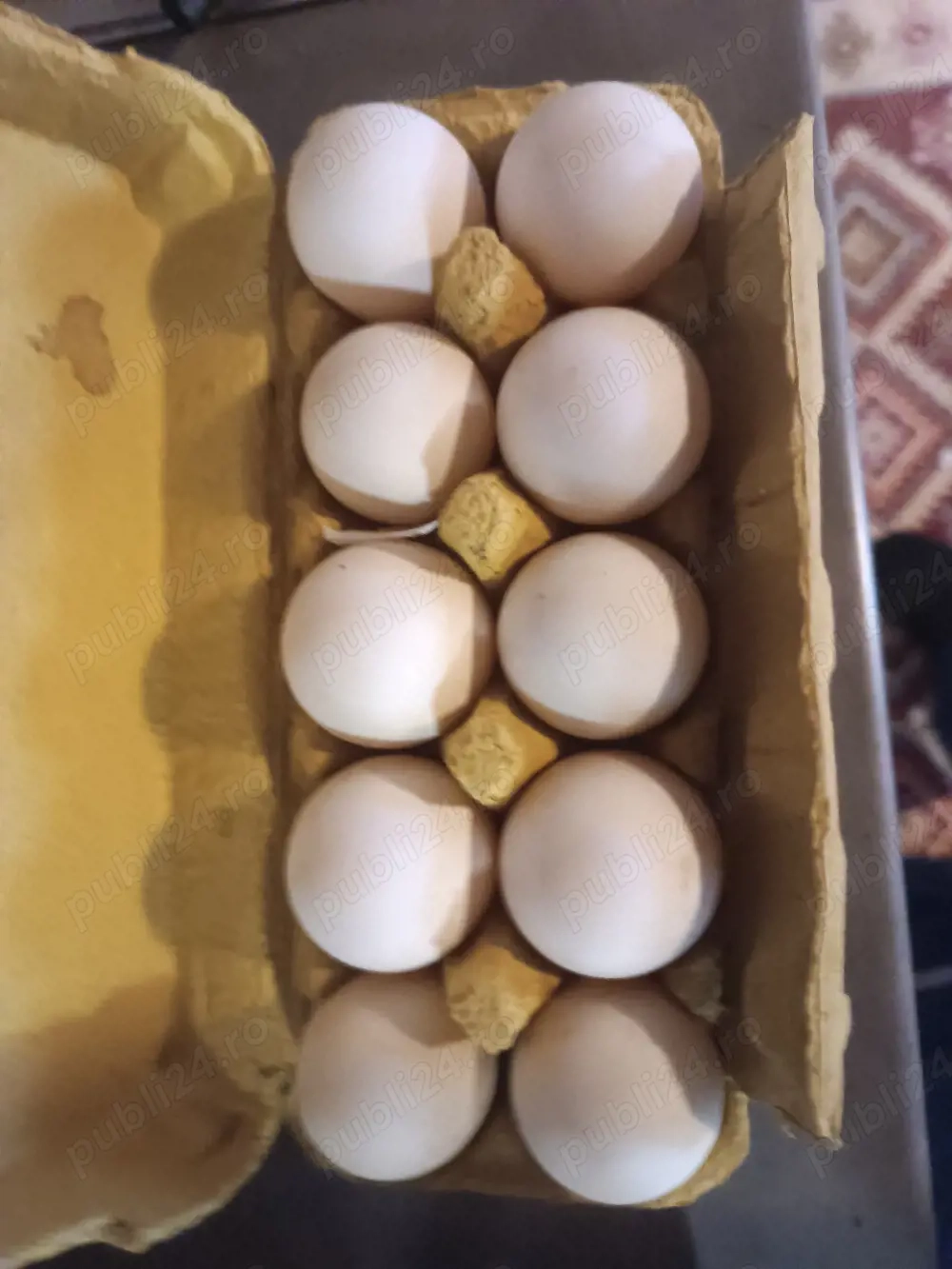 vind ouă de rață românească crescut bioo la curte!