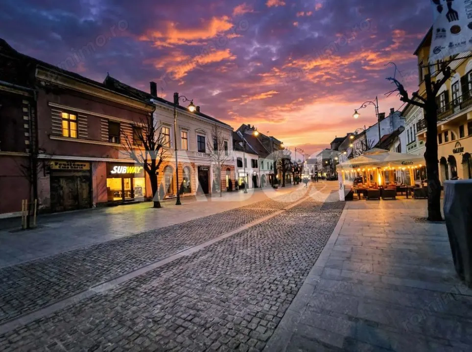 Spatiu comercial 58 mpu cu vitrina 3 m pivnita Centrul Istoric