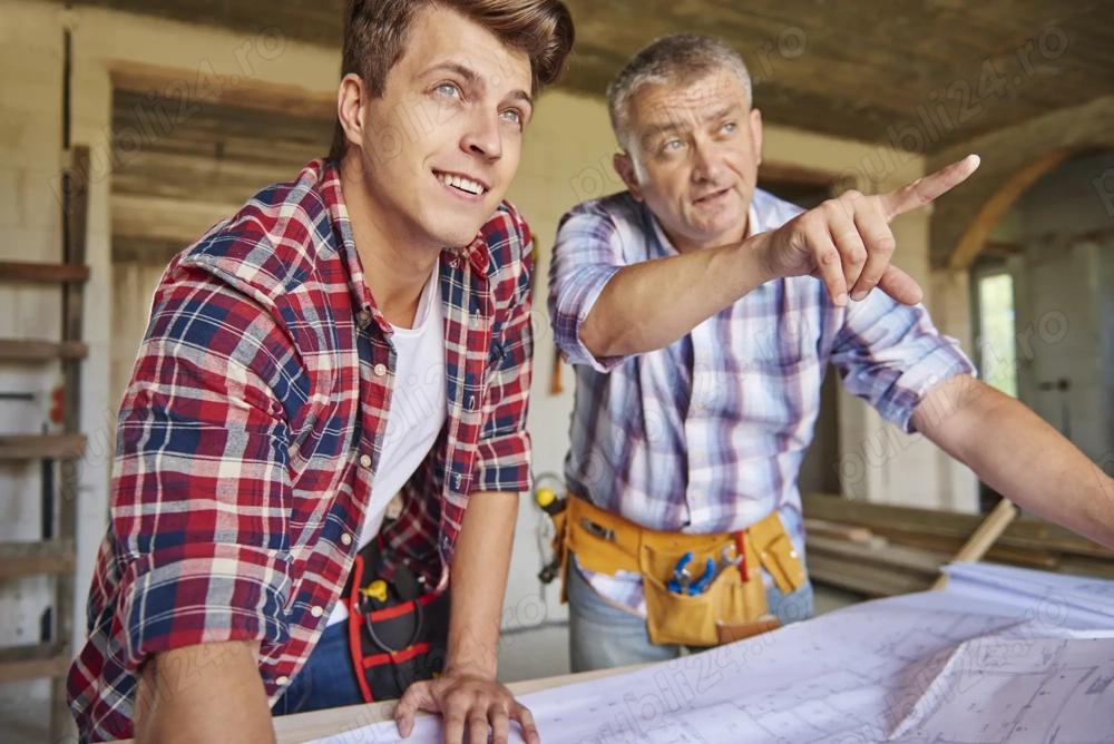 Proiectant Structuri din Lemn