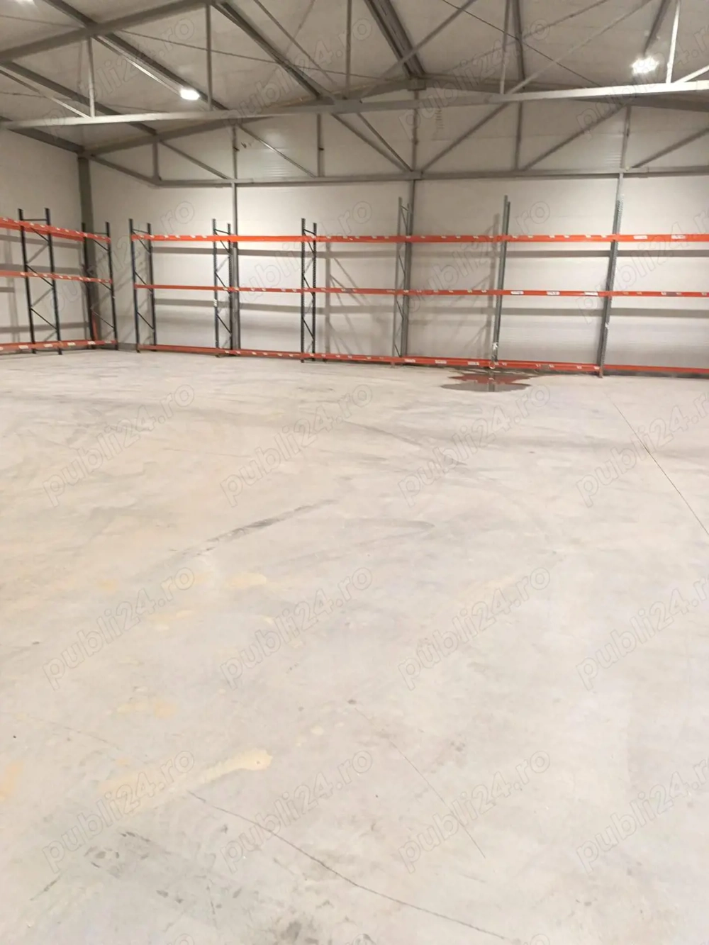 Vand închiriez Hala Cernica