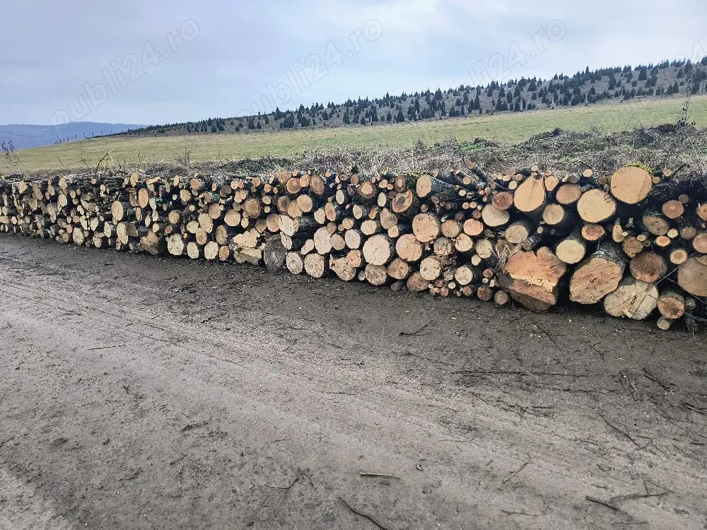 vand lemne de foc esenta tare carpen 