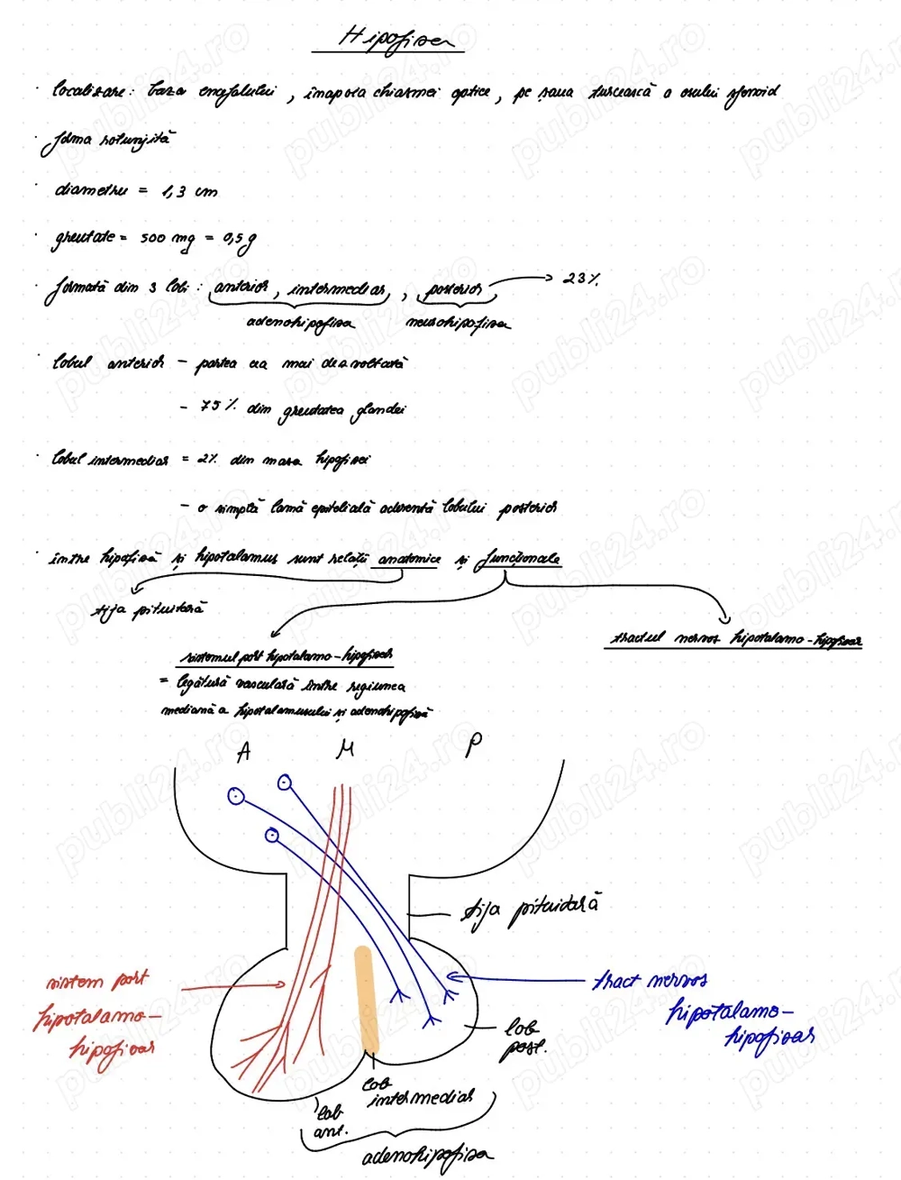Admitere Medicina Sibiu