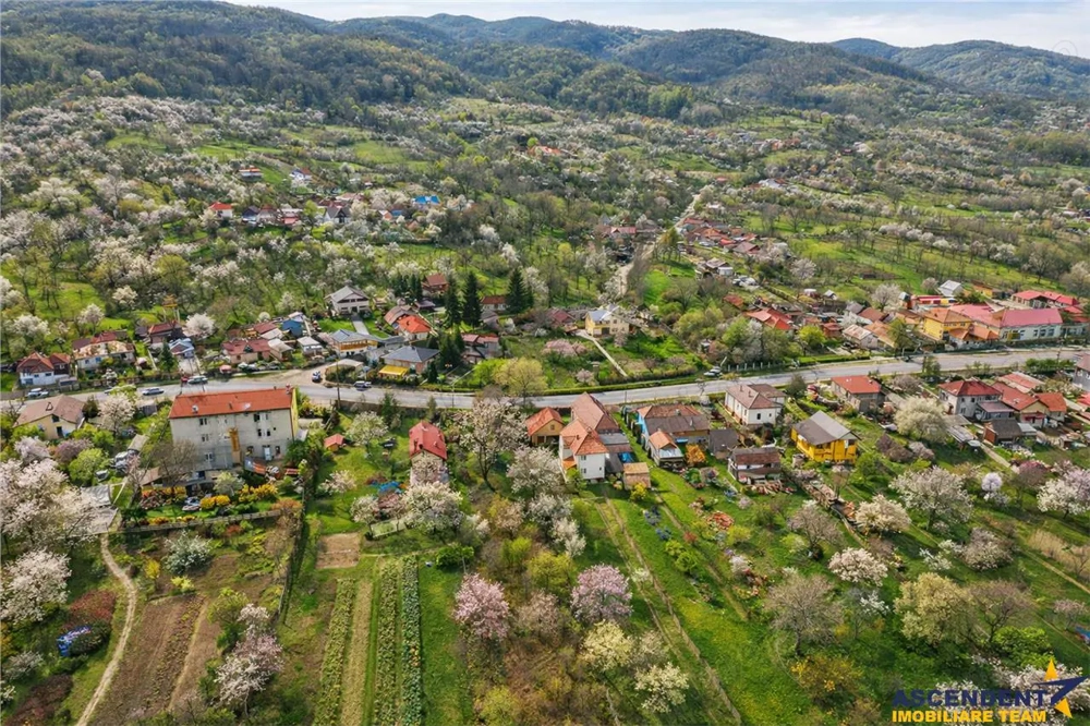 FILM! Casa  pe domeniu de 3.117 mp, Viperesti  Buzau
