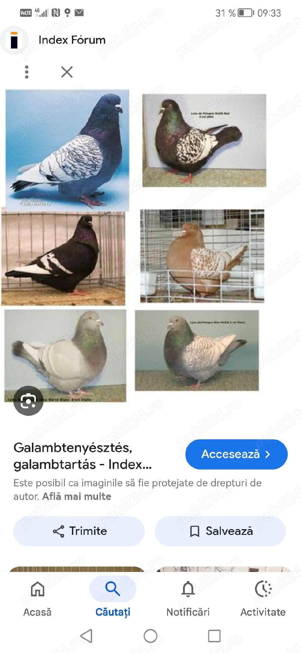 Lux ponez Caut crescatori