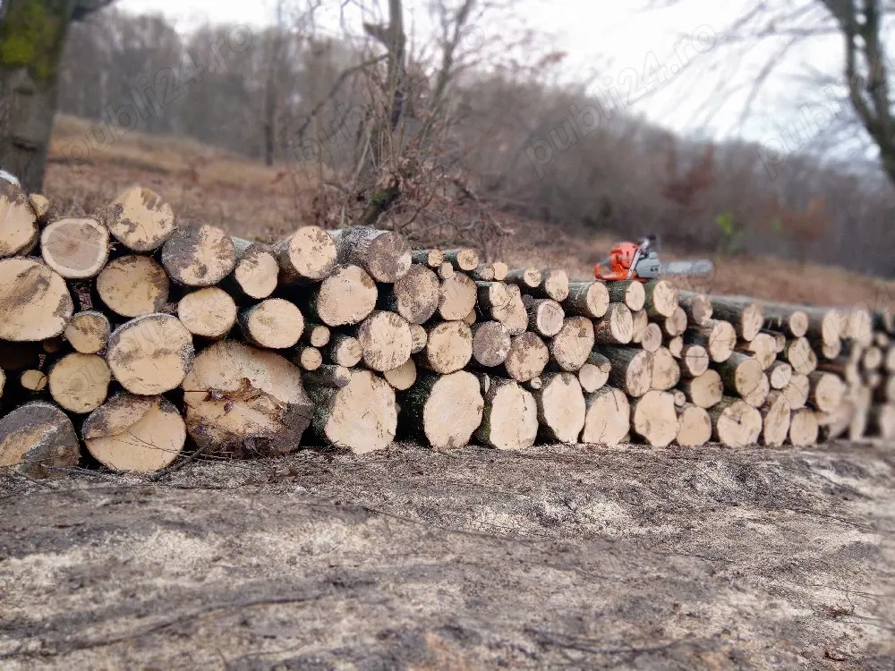 vand lemne de foc esenta tare carpen fag acati