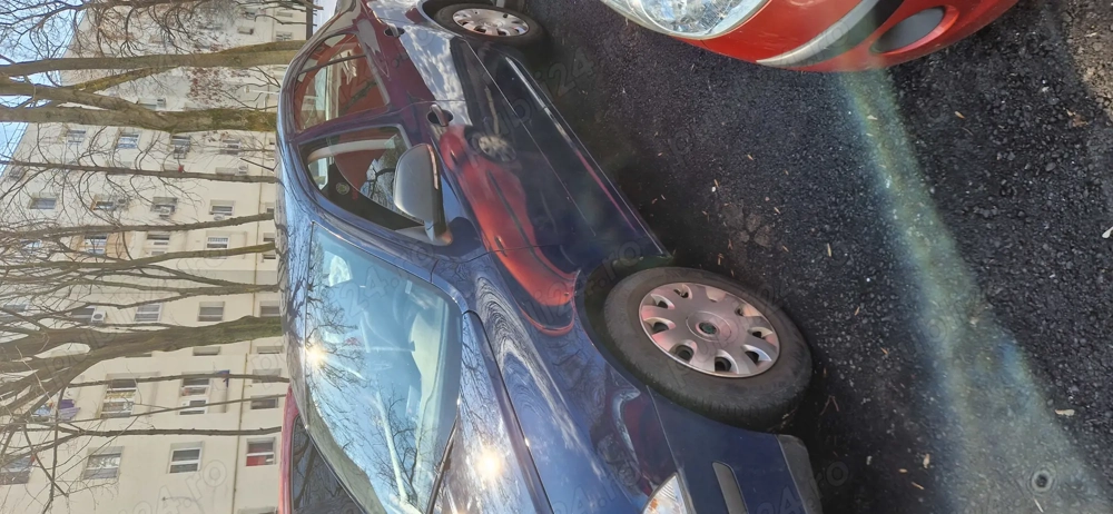 Persoan fizica.propietar