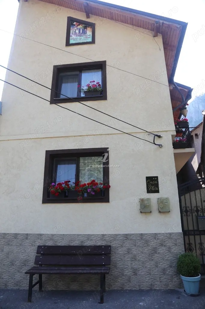 Cazare CASA CU FLORI  Baile Herculane 