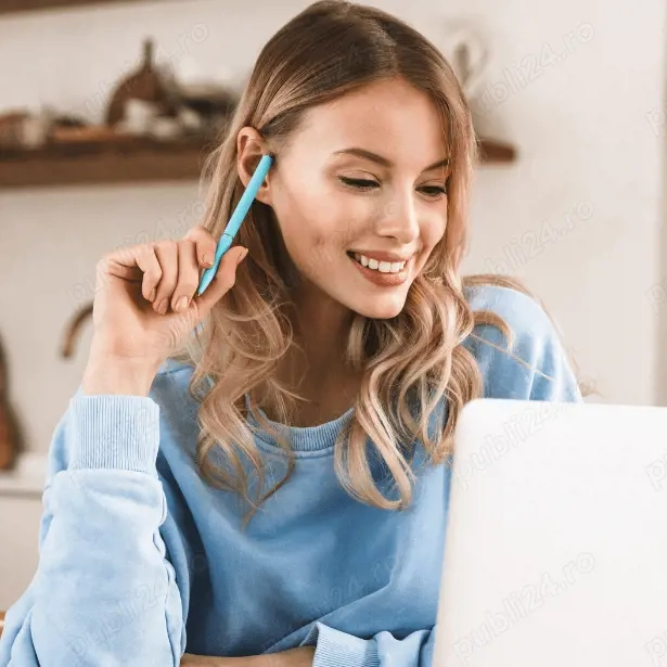 Proiect administrativ - sesiune de 15 minute