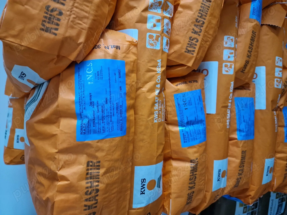 Sămânță Porumb KASHMIR 50 Mk