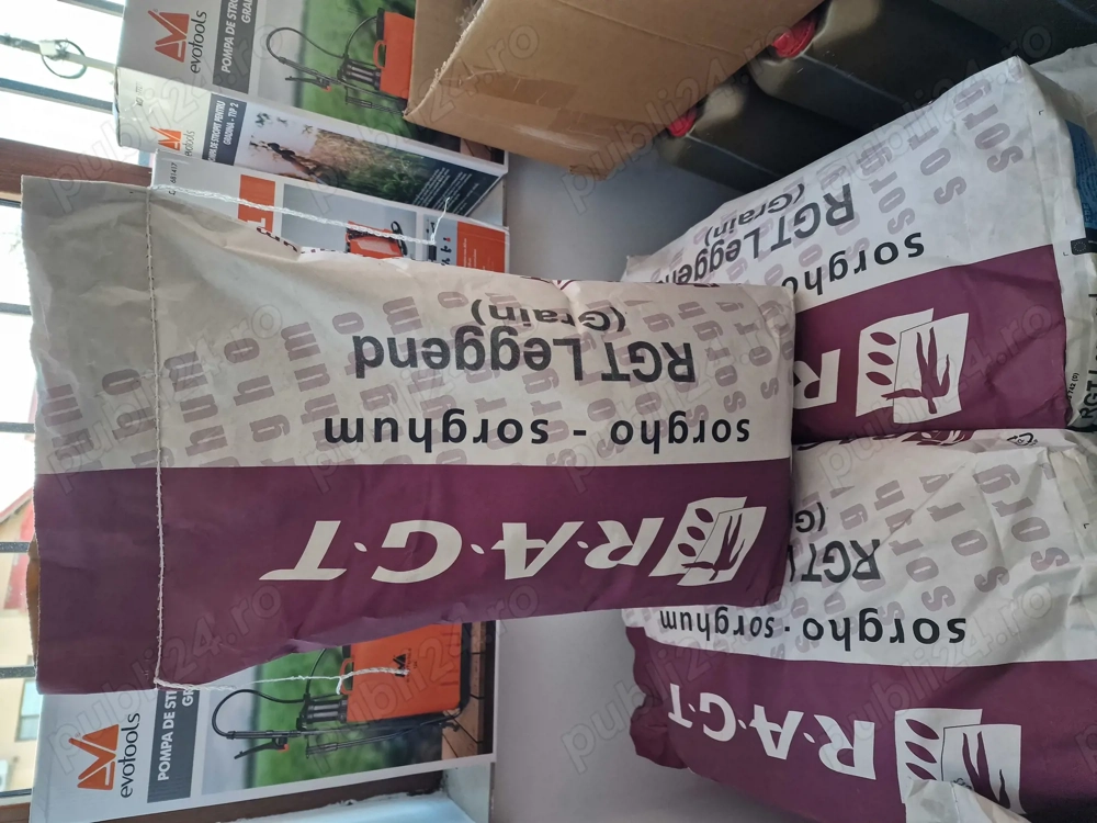 Sămânță Sorg LEGGEND -300 Mk