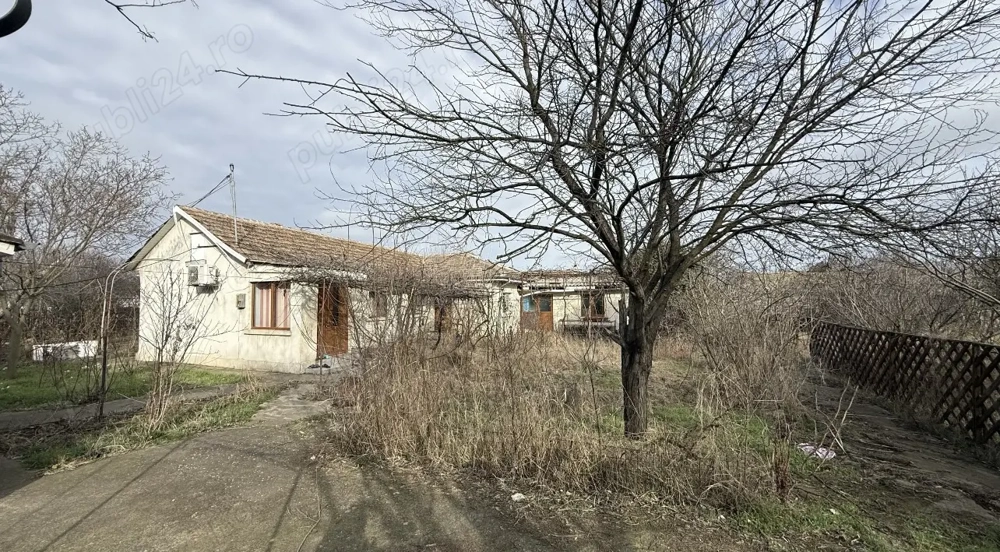 Teren 3631 + casa bătrânească 