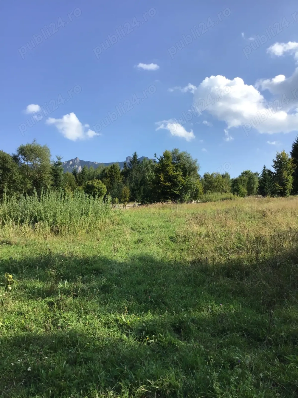 Vand teren in zona Ceahlau - Durau, Neamt