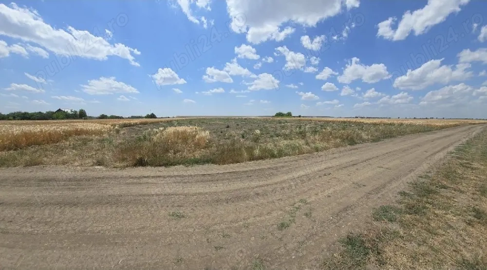 URGENT!! teren 2.120 mp2   23,60   mp2. PREȚ 50.000 