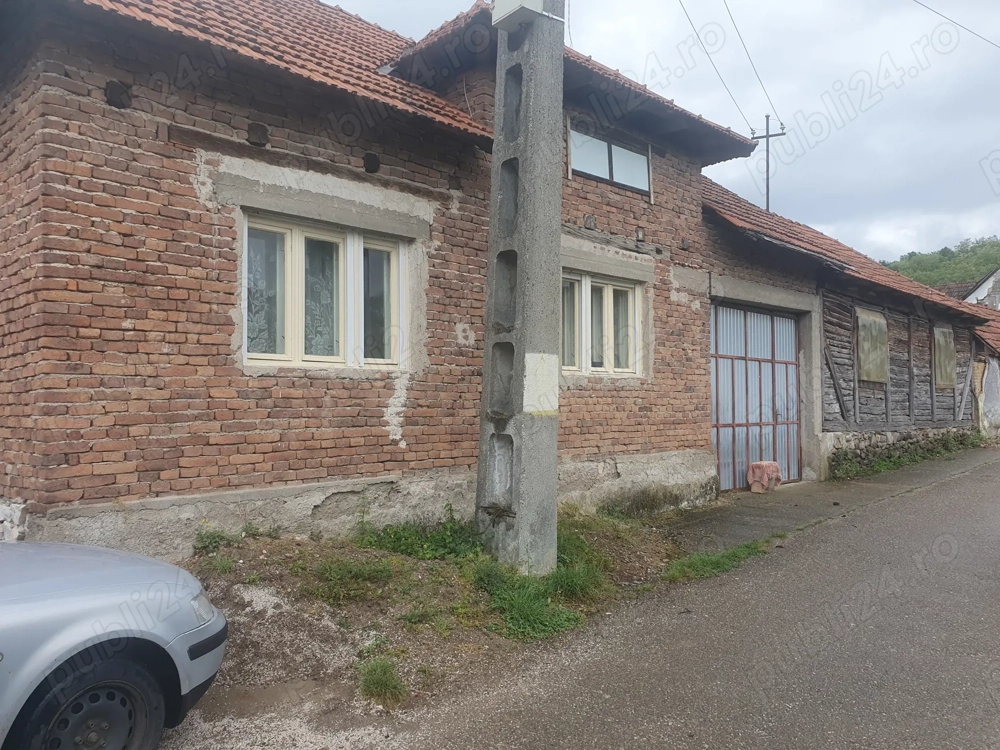 Case la tara si teren de 13.000 mp