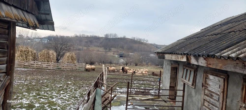 Vând teren intravilan