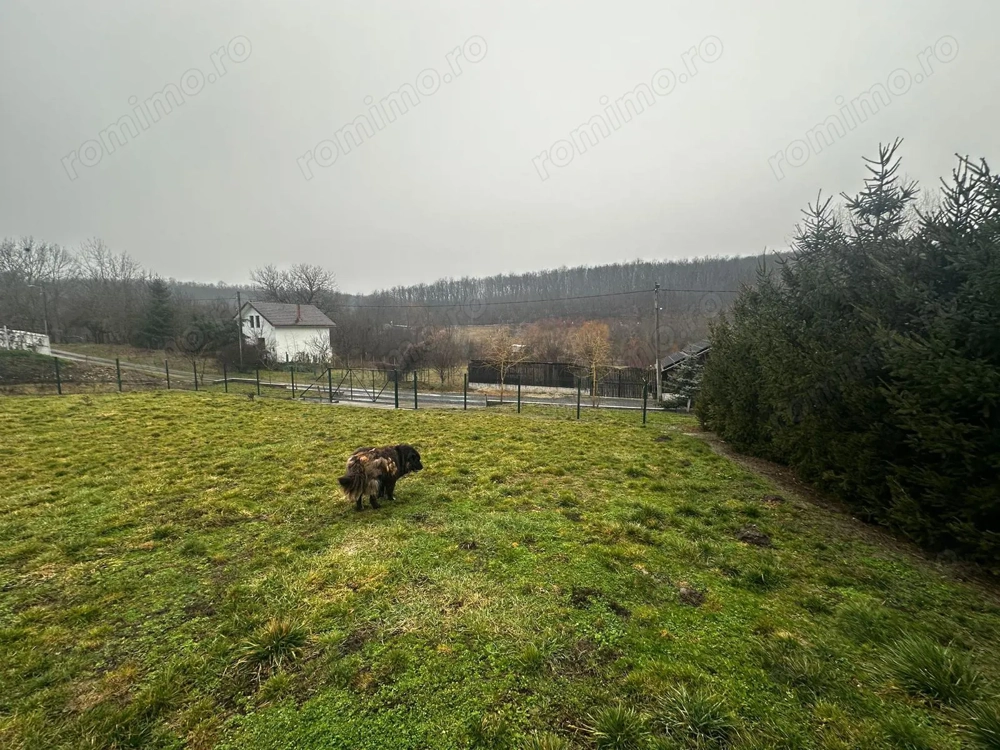 AV679 Teren intravilan, Salciua Noua, 1998 mp, IDEAL Investitie