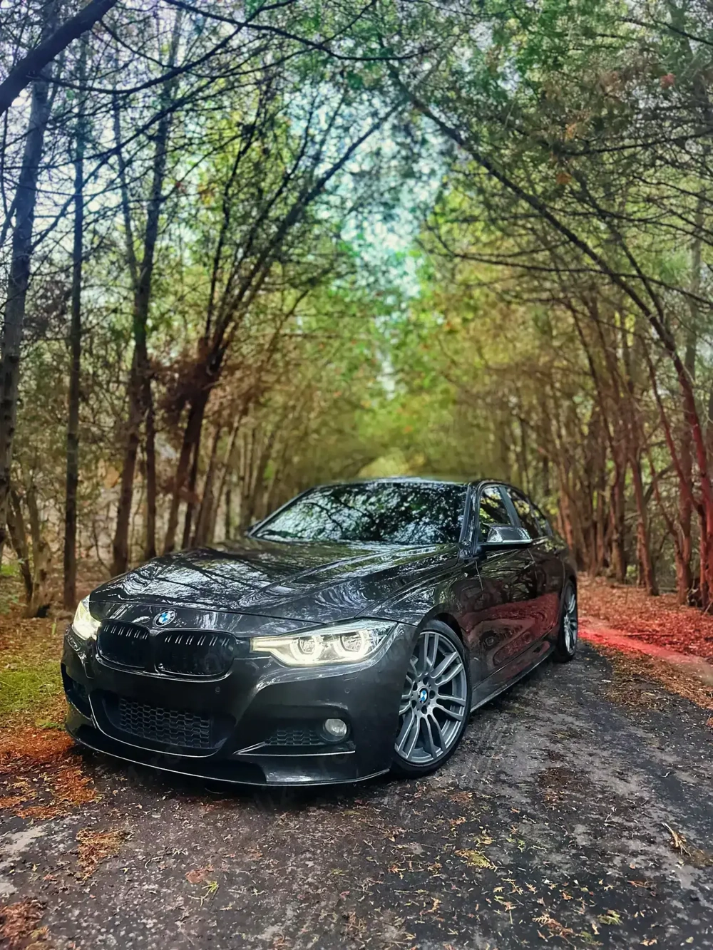 Bmw Seria 3 F30 2017 M packet, full istoric reprezentață