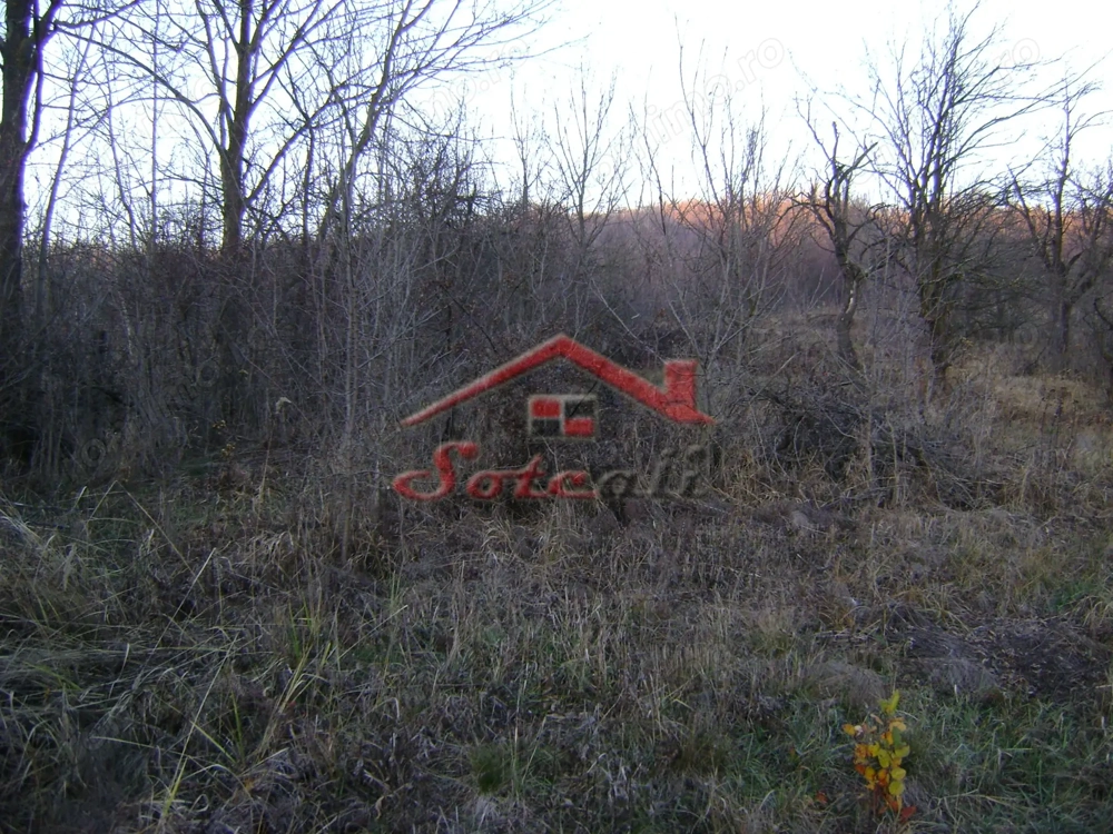 Teren de vanzare Cornu de Jos