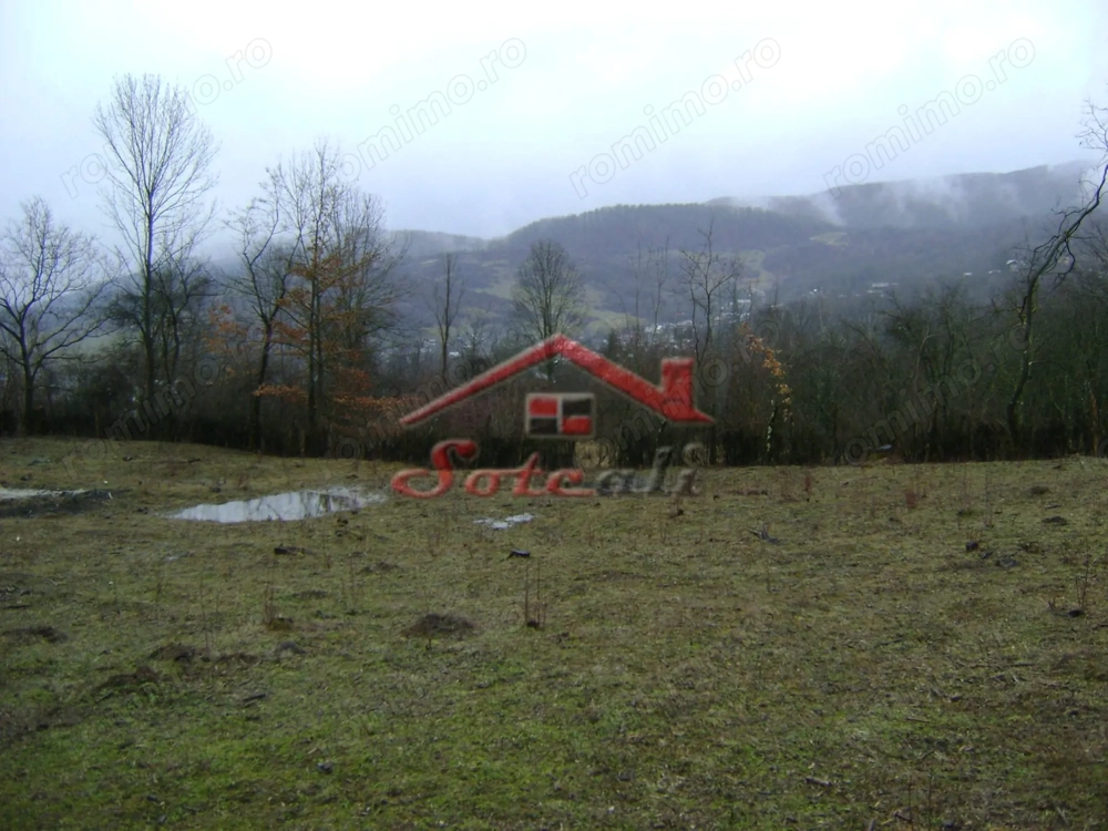 Teren de vanzare in Provita de jos