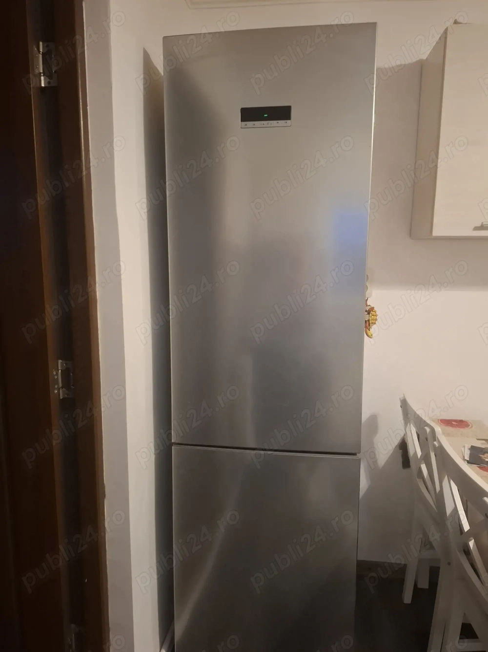 Combiba frigorifica Artic