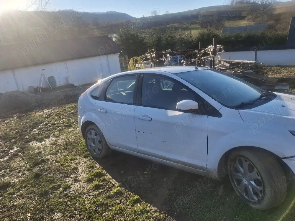 vand ford focus