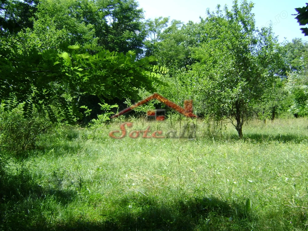 Teren de vanzare in Cornu 1585 mp - Negociabil