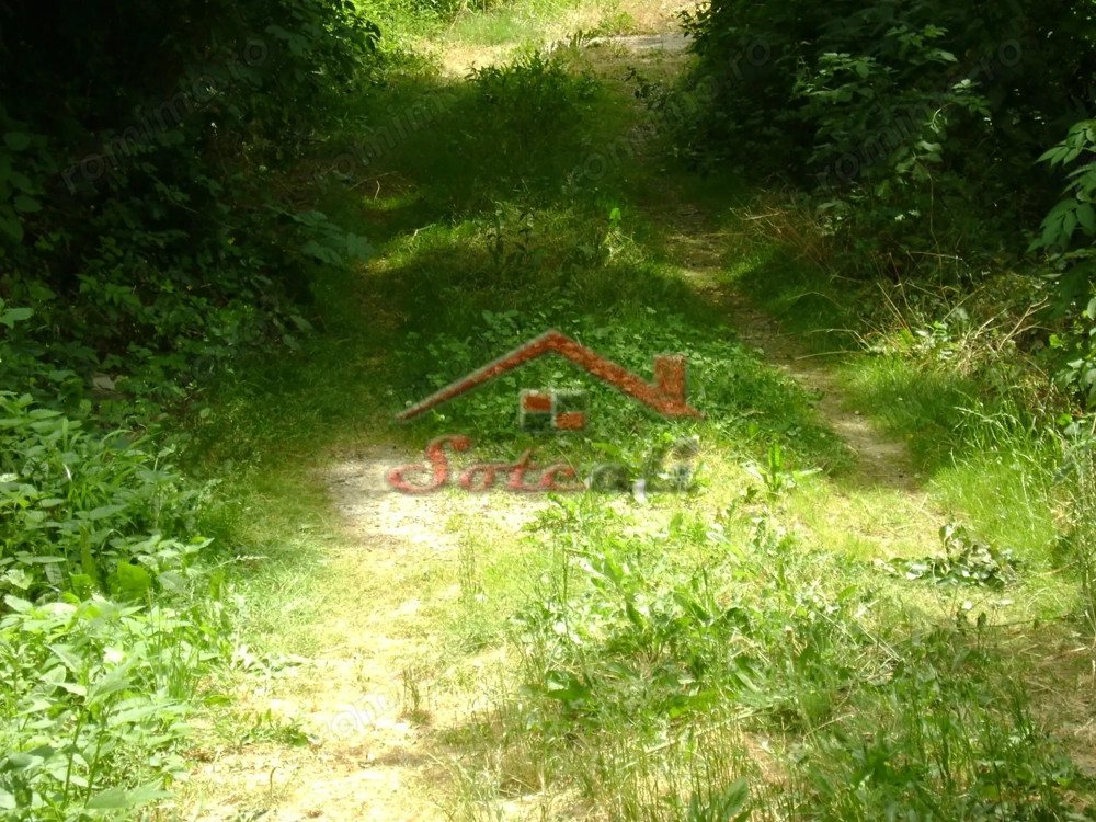 Teren  de vanzare Cornu 643 mp