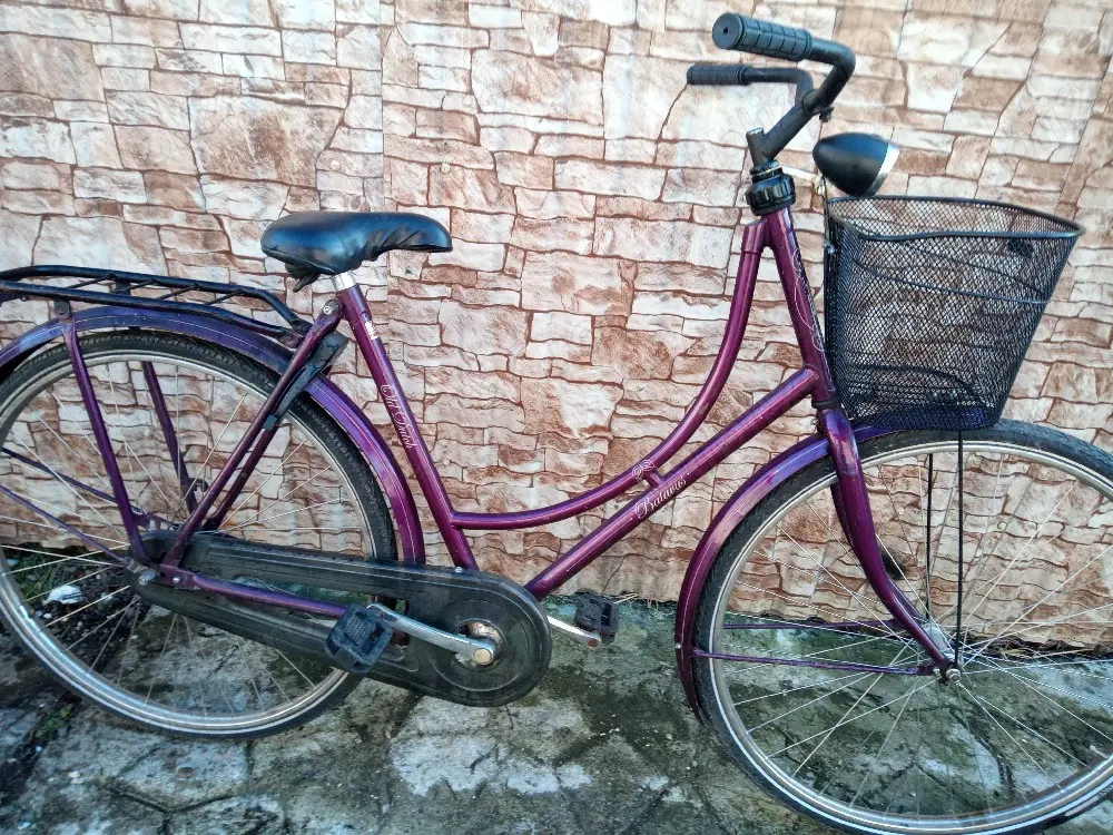 biciclete de dama nemțești 