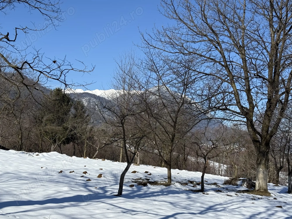 Teren intravilan 763 mp in zona Bran-Tohanita,judetul Brasov 