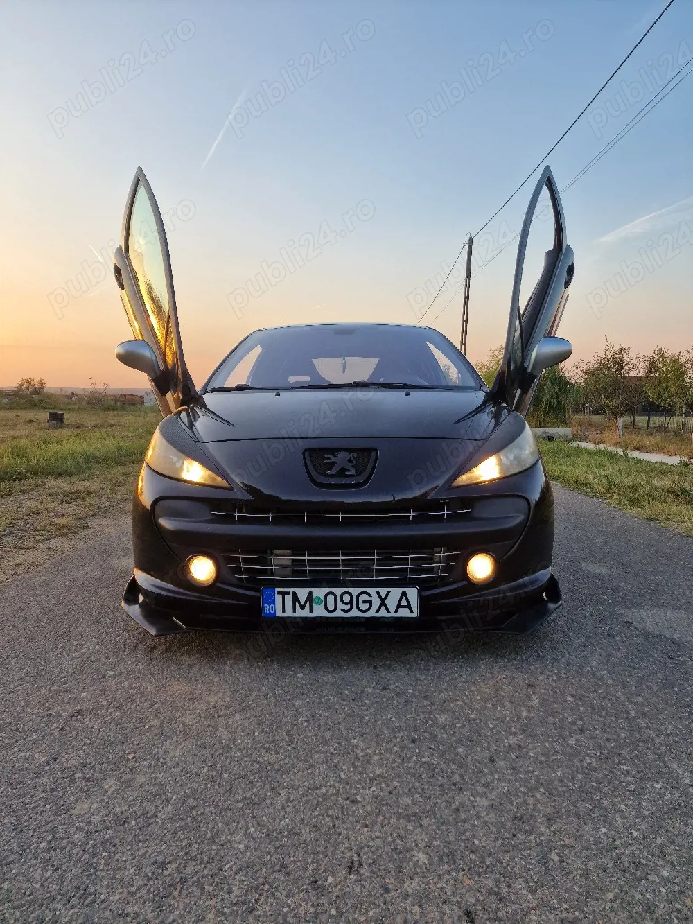 peugeot 207rc 174cp