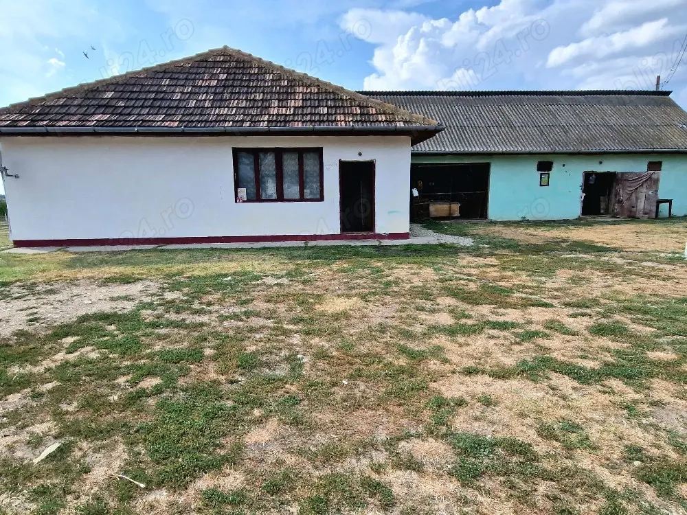 Casa de vânzare în Orașul Pecica(Sălaș) 