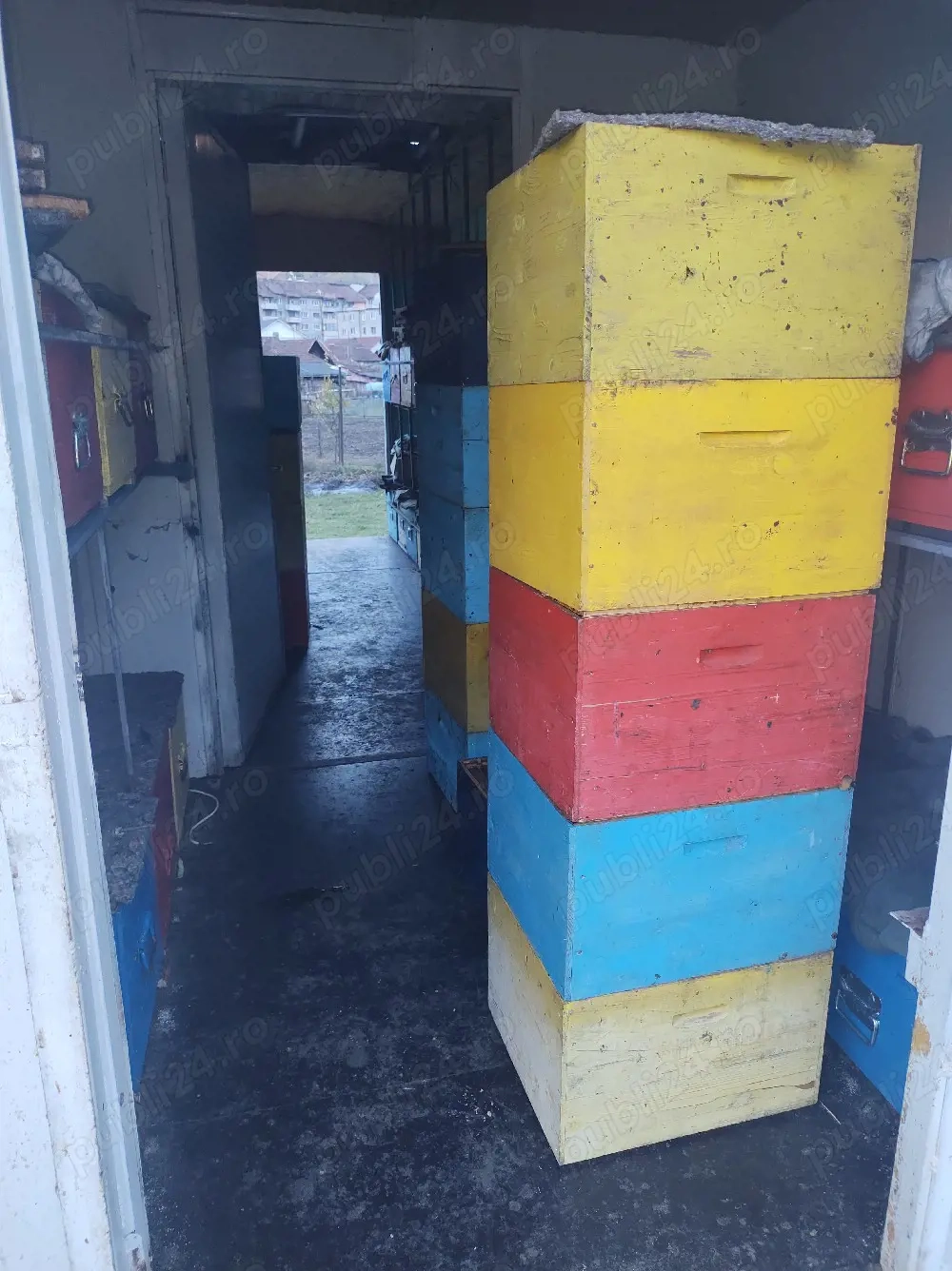 Vand familii de albine si lazi de albine pe 10 rame in pat rece, cu magazii cu tot