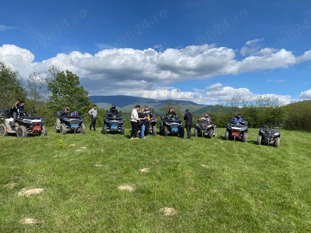 Vând sau schimb teren extravilan   Borlova, com. Turnu Ruieni Stațiune Muntele Mic) 