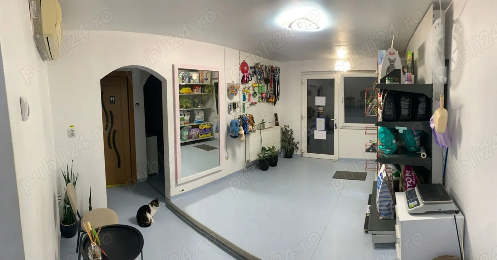 Proprietar inchiriez 