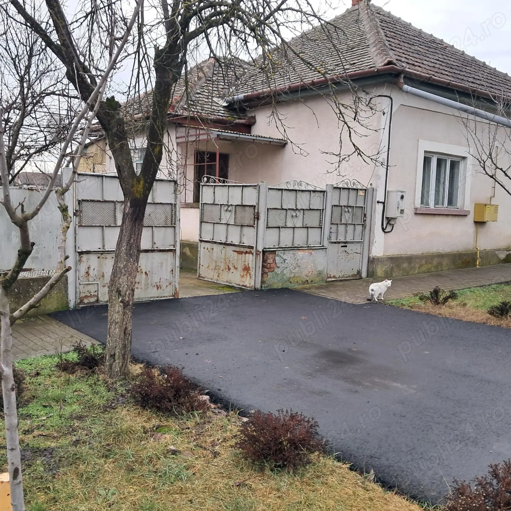 Teren remetea mare 