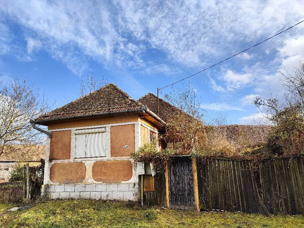 Casa traditionala si 2000 mp teren