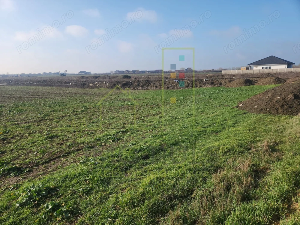 Teren agricol in intravilanul comunei Sacalaz.