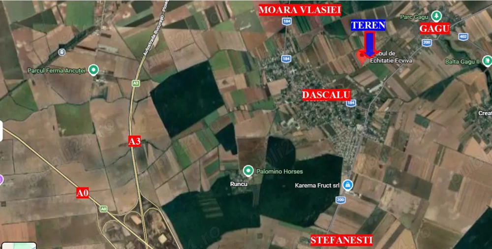 Teren Dascalu, 10.000 mp