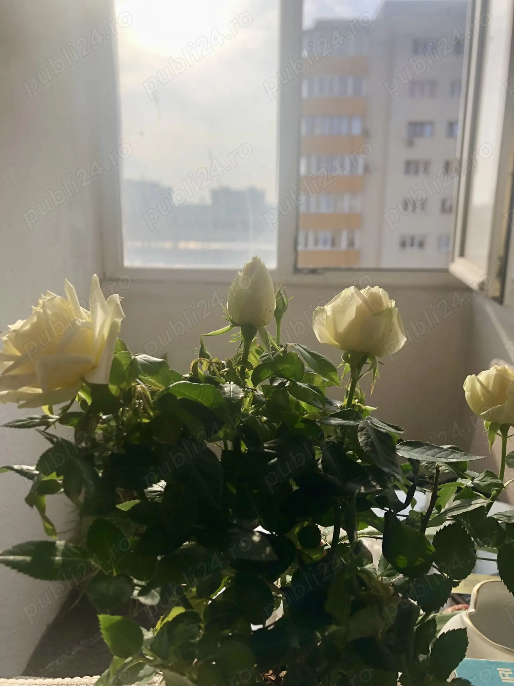 Garsonieră de vânzare Calea Rahovei   bloc anvelopat, balcon, vis-a-vis de Liceul D. Bolintineanu 